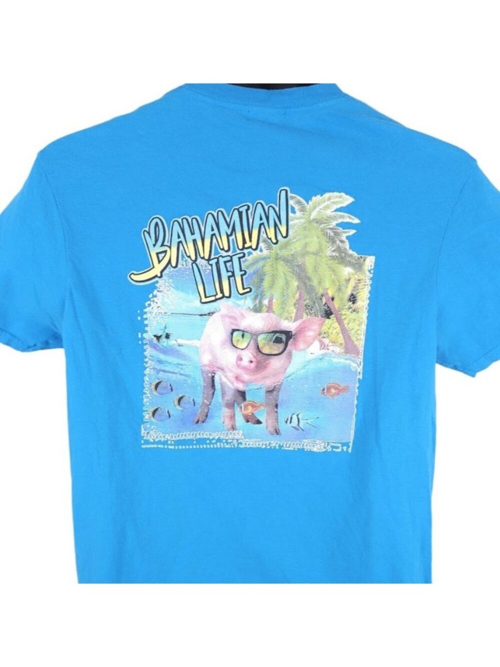 Nassau Bahamas T Shirt Mens Size Medium Blue Bahamian Life Pig Travel Tee
